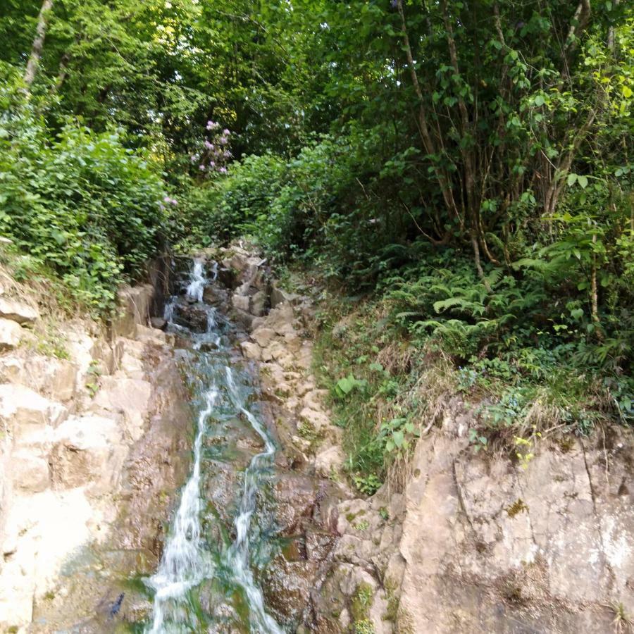 Zisto Apart Otel Rize Dış mekan fotoğraf