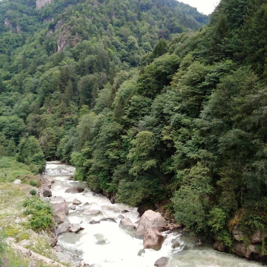 Zisto Apart Otel Rize Dış mekan fotoğraf